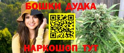 спиды Сланцы