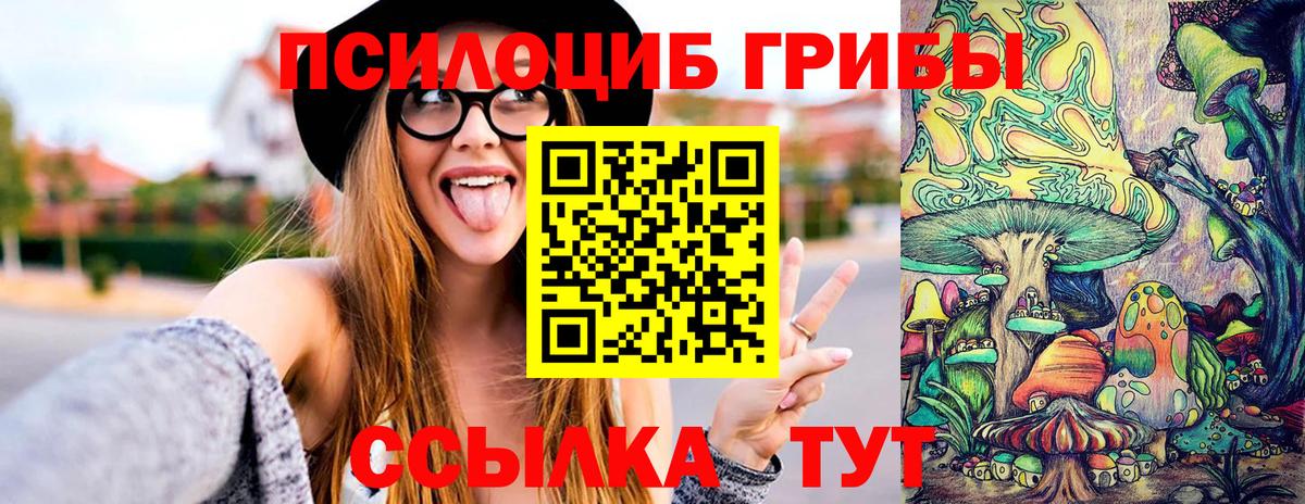 Галлюциногенные грибы мухоморы Новокубанск