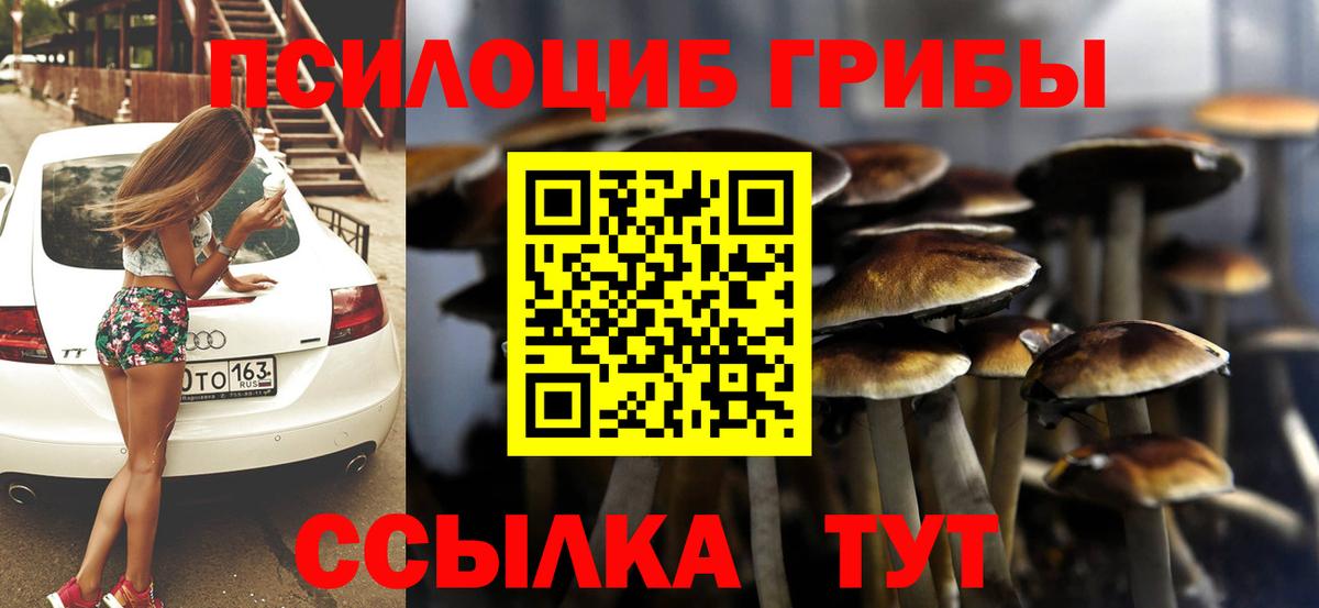 Новокубанск  Псилоцибиновые грибы Psilocybine cubensis  Вход с VPN 